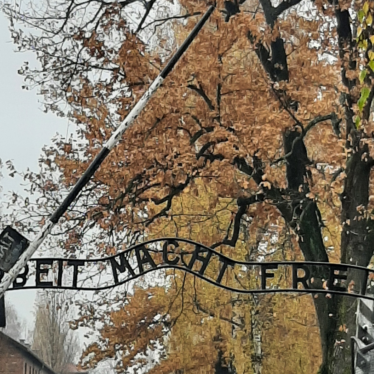 Trip naar Auschwitz